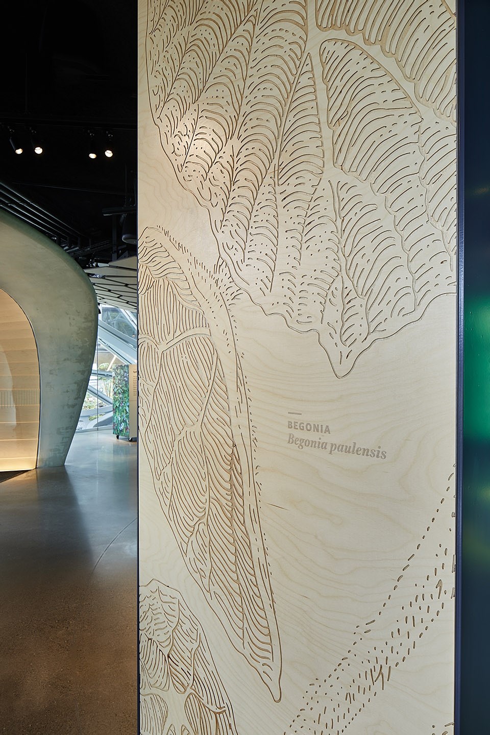 图片[6] - 美国西雅图 亚马逊总部Understory展厅 案例实拍 - 资源分享圈子 - 交流讨论 - 展示酷