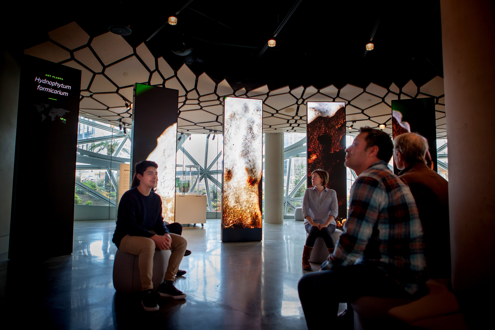 图片[11] - 美国西雅图 亚马逊总部Understory展厅 案例实拍 - 资源分享圈子 - 交流讨论 - 展示酷