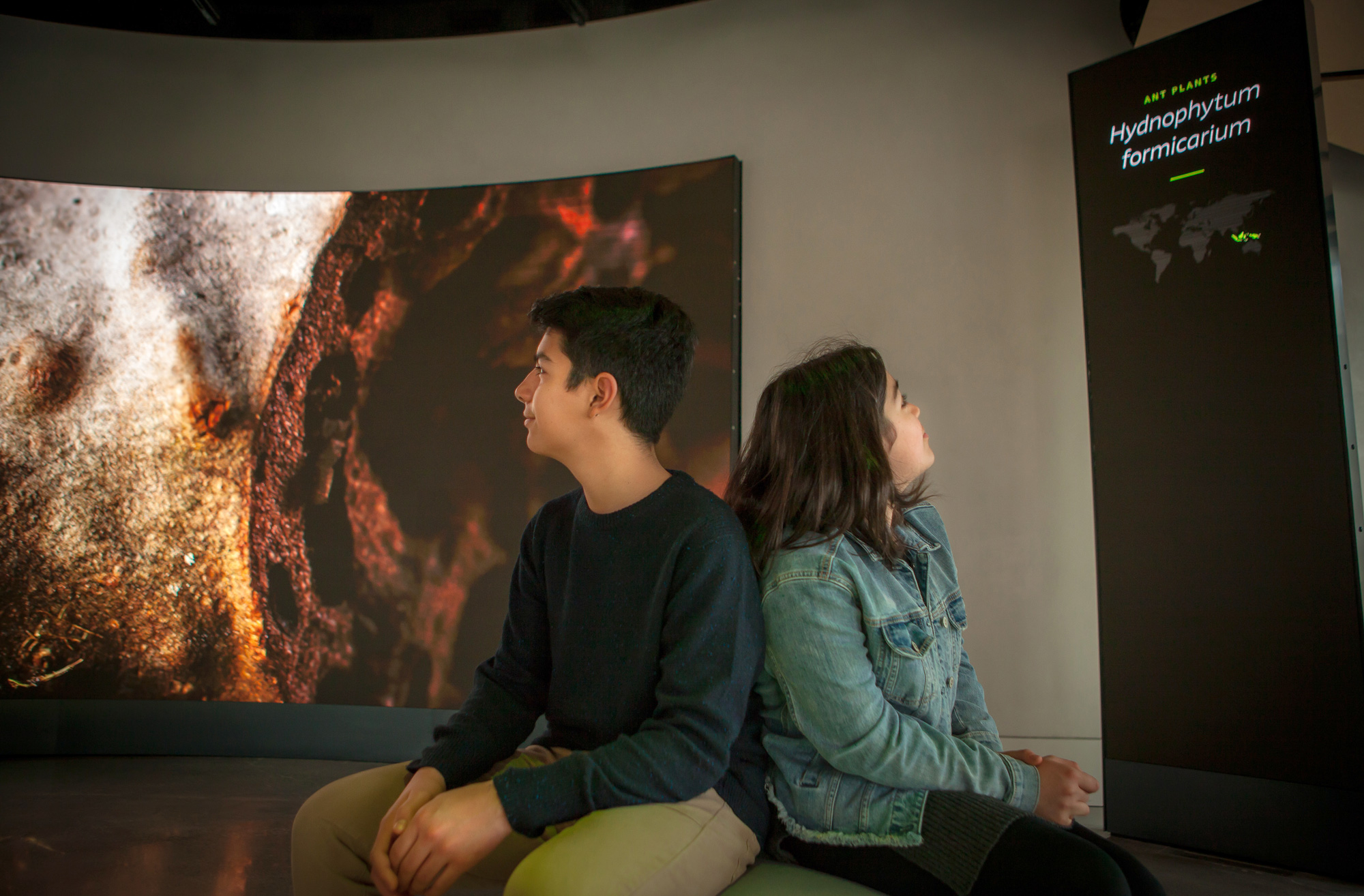 图片[12] - 美国西雅图 亚马逊总部Understory展厅 案例实拍 - 资源分享圈子 - 交流讨论 - 展示酷