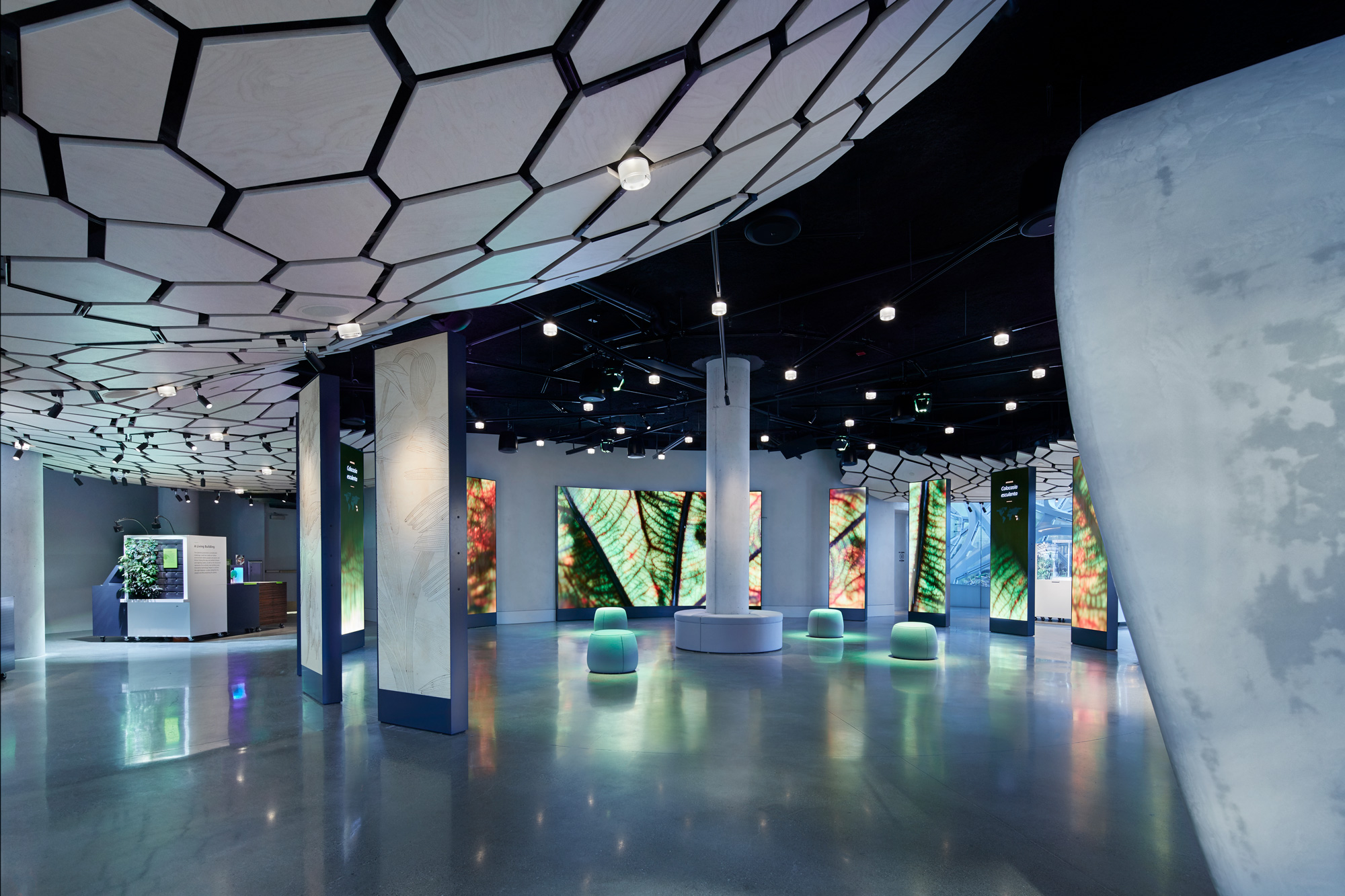 图片[13] - 美国西雅图 亚马逊总部Understory展厅 案例实拍 - 资源分享圈子 - 交流讨论 - 展示酷