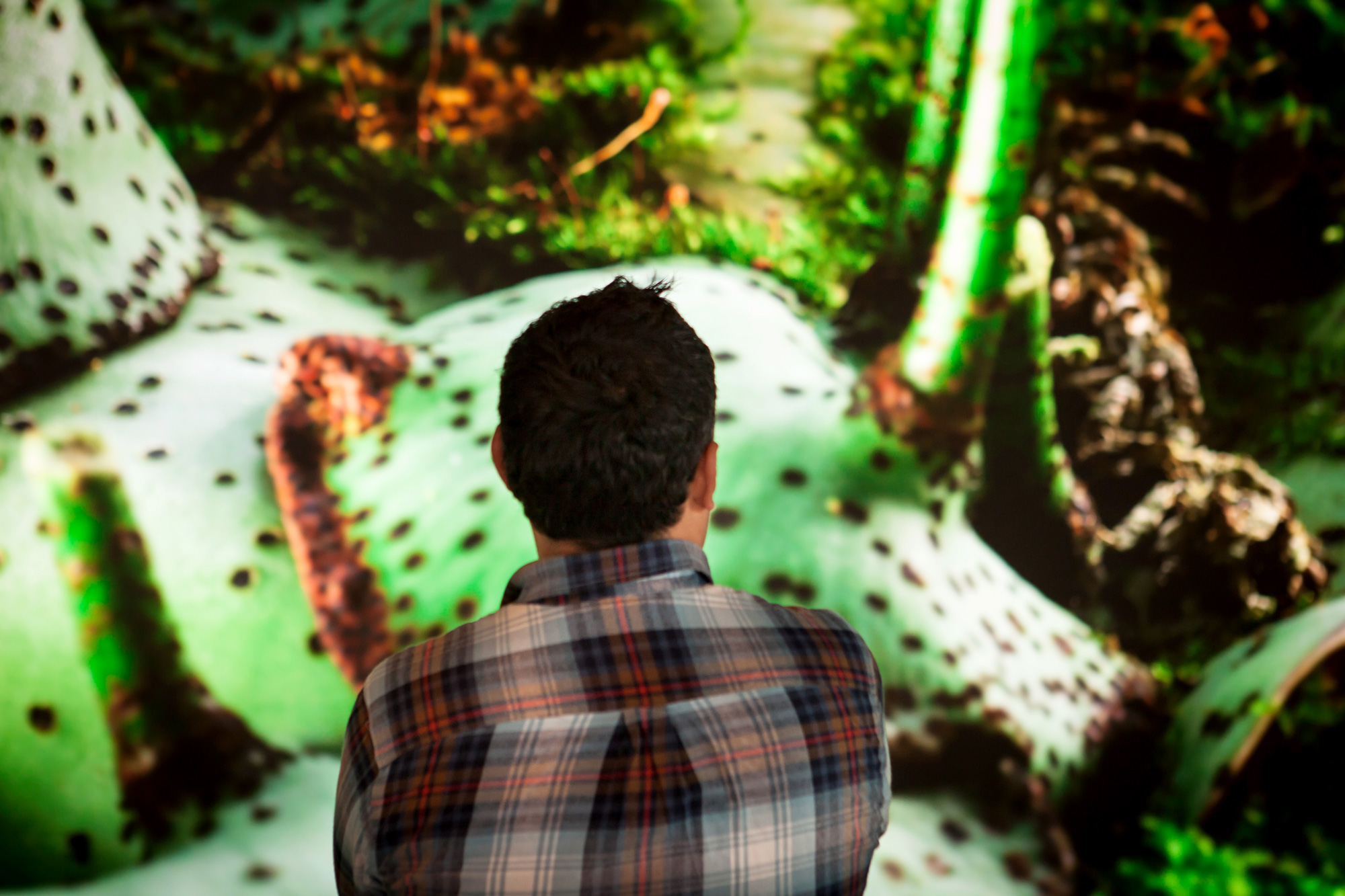 图片[14] - 美国西雅图 亚马逊总部Understory展厅 案例实拍 - 资源分享圈子 - 交流讨论 - 展示酷