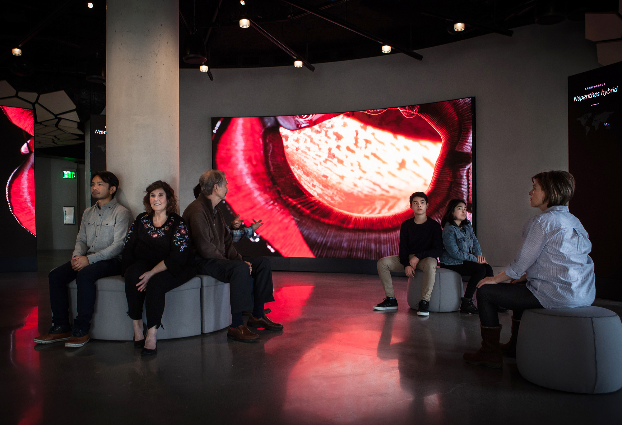 图片[15] - 美国西雅图 亚马逊总部Understory展厅 案例实拍 - 资源分享圈子 - 交流讨论 - 展示酷