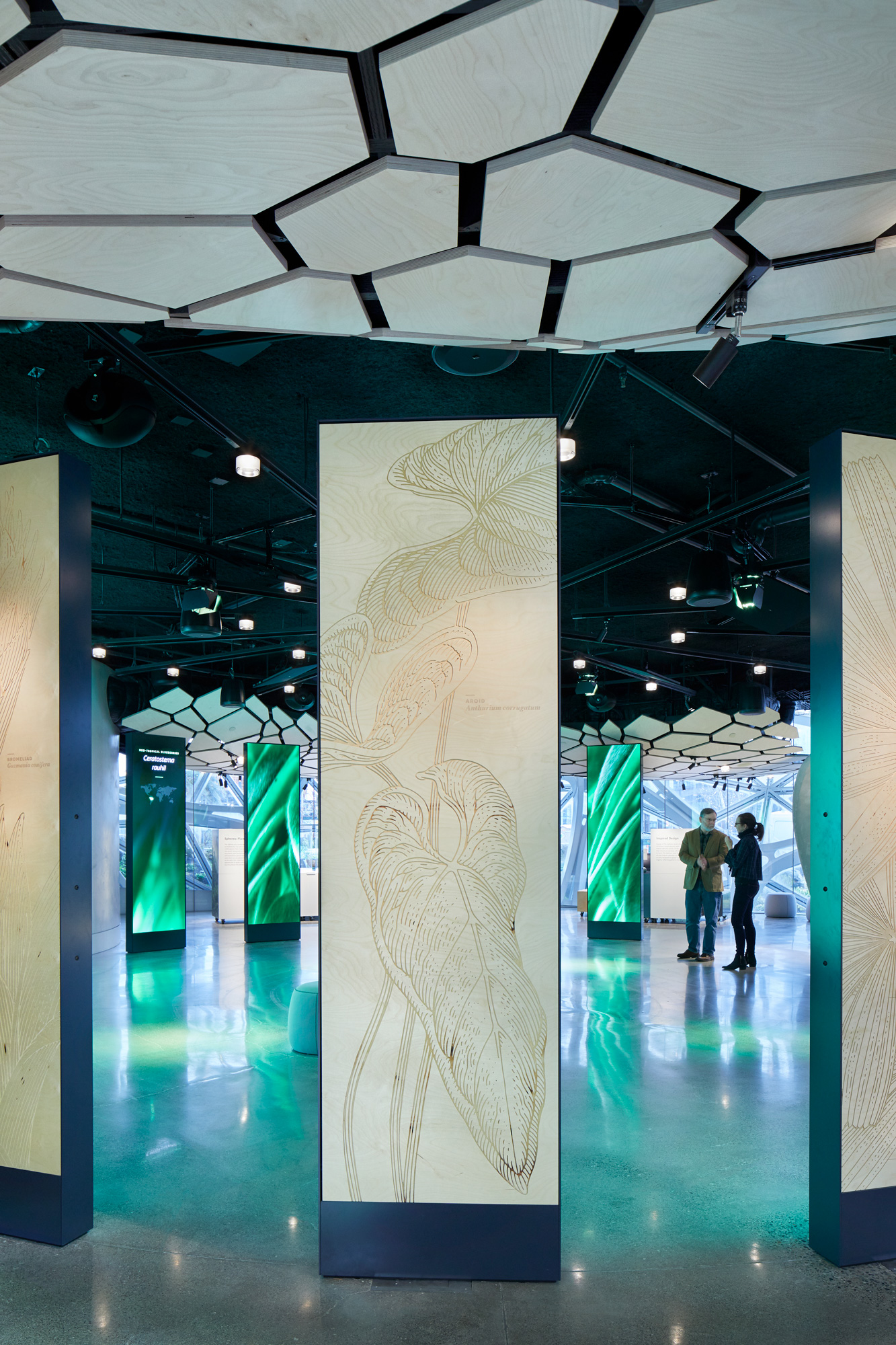 图片[16] - 美国西雅图 亚马逊总部Understory展厅 案例实拍 - 资源分享圈子 - 交流讨论 - 展示酷