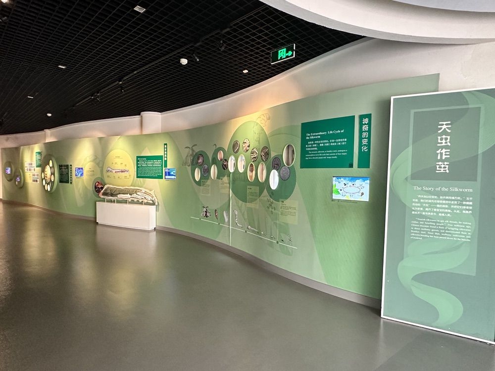 图片[6] - 【杭州】中国丝绸博物馆 - 展示酷
