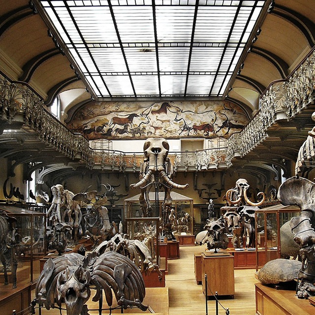 图片[2] - 【巴黎】法国国家自然历史博物馆 照片摄影26张 - 展示酷