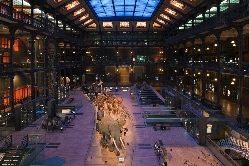图片[4] - 【巴黎】法国国家自然历史博物馆 照片摄影26张 - 展示酷