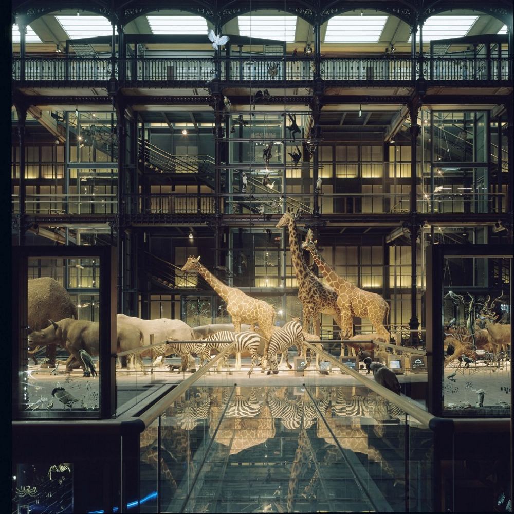 图片[1] - 【巴黎】法国国家自然历史博物馆 照片摄影26张 - 展示酷