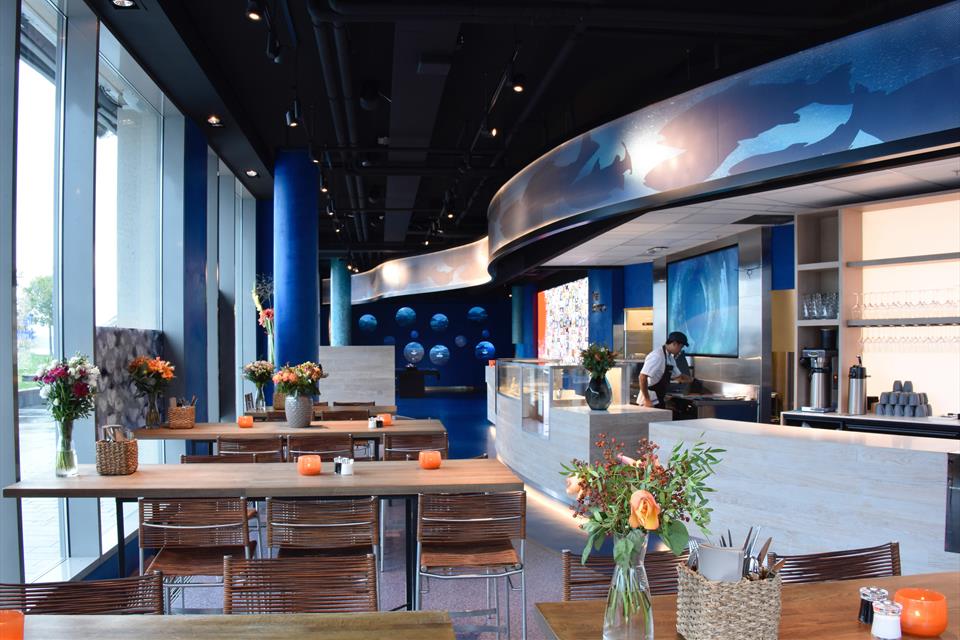 图片[4] - 挪威三文鱼科学体验中心｜JPG｜13张｜5.42M - 展示酷